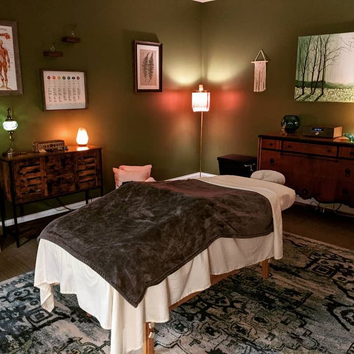 Wild Fern Massotherapy Logo